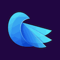 Canary Icon