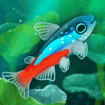 Pondlife - 池趣 Icon