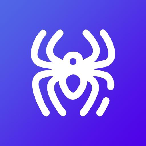 Spider Proxy Icon