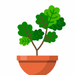 Terrarium: Garden Idle - 玻璃容器 Icon