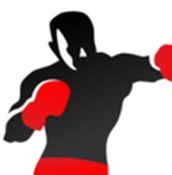 HeavyBagPro Icon