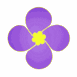 紫金草视频 Icon