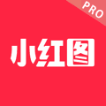 小红图 Icon