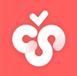 CherryStudio Icon