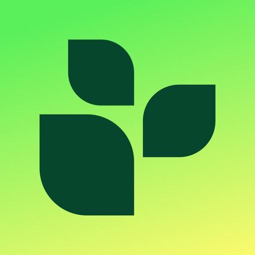 Lifesum Icon