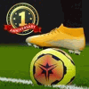 足球王朝 Soccer Dynasty  Icon