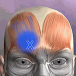 肌肉激痛点 Icon