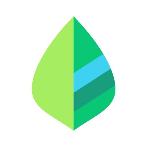 薄荷记账Lonicera Icon