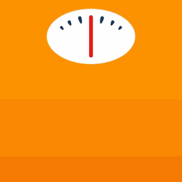 LoseIt Icon