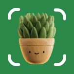 Plant Care 360 Icon